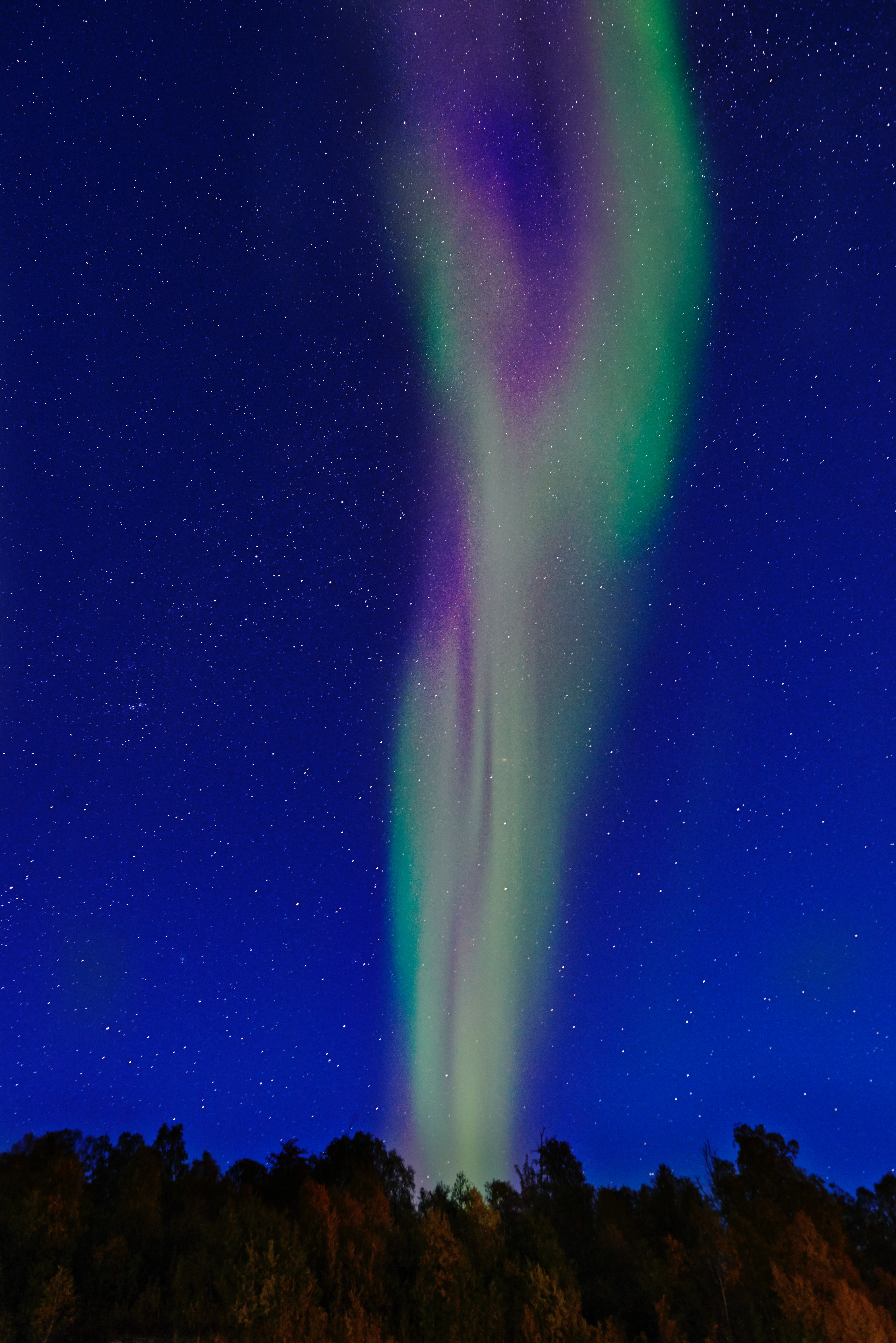 A tall and thin green, red-purple, and blue-ish colored aurora borealis stretching up into the sky from trees.